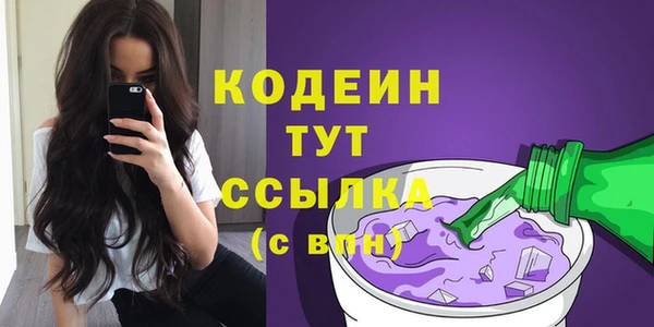 амф Коряжма