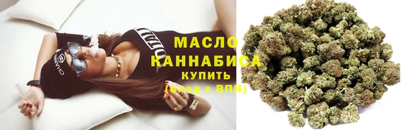 прущие грибы Краснослободск