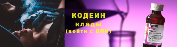 прущие грибы Краснослободск