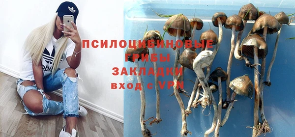 ПСИЛОЦИБИНОВЫЕ ГРИБЫ Красноперекопск