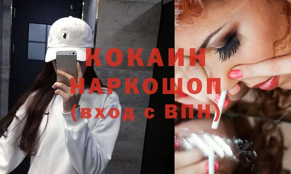 прущие грибы Краснослободск