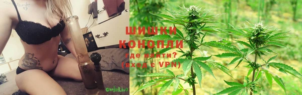 прущие грибы Краснослободск