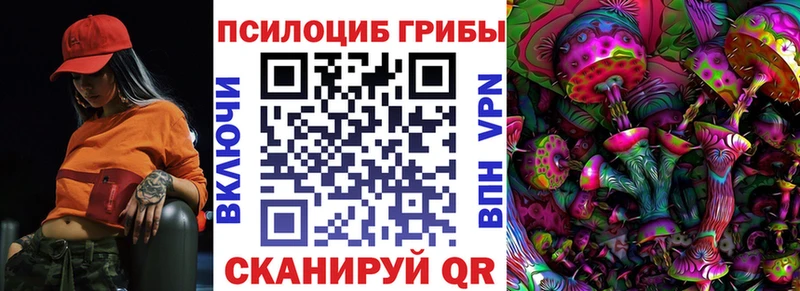 Купить  Волоколамск  Псилоцибиновые грибы мухоморы 